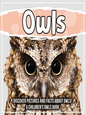 cover image of Owls